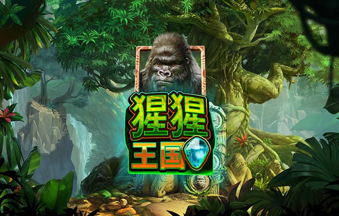 88体育官网入口